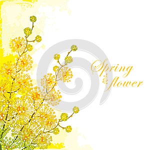 Vector corner bouquet of ornate outline Mimosa or Acacia dealbata or silver wattle flower on the pastel yellow background.