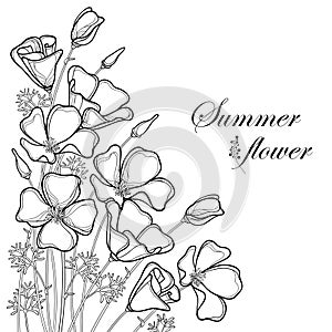 Vector corner bouquet of outline California poppy flower or California sunlight or Eschscholzia, leaf and bud in black isolated.