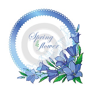 Vector corner bouquet with outline Campanula or Bellflower or Bluebell flower in pastel blue, ornate leaf and bud isolated.