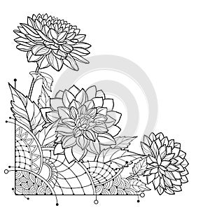 Vector corner bouquet of outline Dahlia or Dalia flower and leaves in black isolated on white background. Bunch of contour Dahlia.