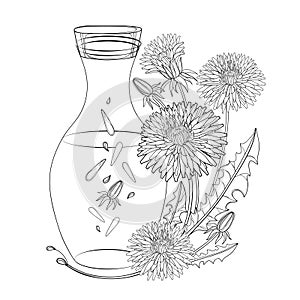 Vector corner bouquet of outline Dandelion flower, bud, leaves and bottle of essential oil in black isolated on white background.