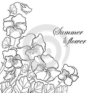 Vector corner bouquet with outline Pansy or Heartsease or Viola tricolor flower and leaf in black isolated on white background. photo
