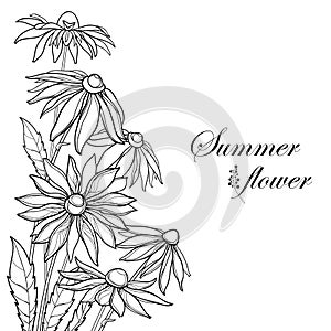 Vector corner bouquet with outline Rudbeckia hirta or black-eyed Susan flower, ornate leaf and bud in black isolated on white.