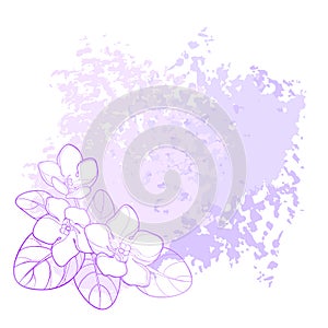 Vector corner bouquet with outline Saintpaulia or African violet flower and leaf in purple on the pastel textured background.