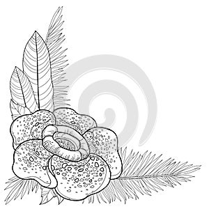 Vector corner bouquet of outline tropical Rafflesia arnoldii or corpse lily flower and palm leaf in black isolated on white.