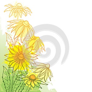 Vector corner bunch with outline Rudbeckia hirta or black-eyed Susan flower, ornate leaf and bud in pastel yellow and green.