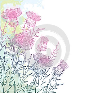 Vector corner bunch of outline Thistle or Carduus plant, spiny leaf, bud and flower in pastel pink and green on the white.