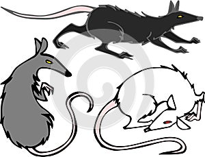 Vector cororful illustration set of creepy rats photo