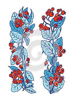 Vector Cotoneaster orange berries blue leaves in garland border