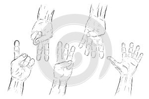 Counting or Voting Hand , One to Five isolated on white