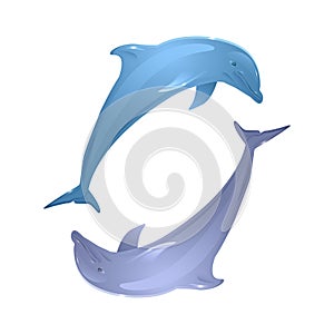 Vector couple of playing dolphins