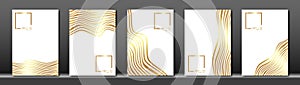 Vector cover for text. Abstract white fluid striped line background. Gold wave strips. Applicable for design cover, presentation