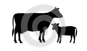 Vector cow and calf