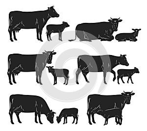 Vector cow and calf black silhouettes photo