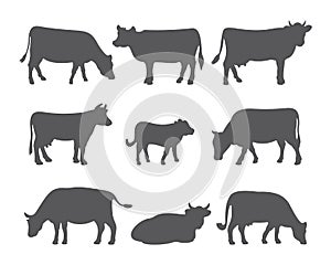 Vector cow and calf silhouettes in different poses. Set of cows isolated on white background.