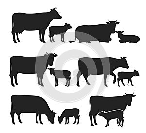 Vector cow and calf silhouettes collection photo