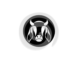 Vector of cow design on white background