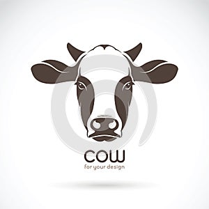 Vector of cow face design on white background. Farm.