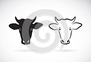 Vector of cow head design on white background. Animal.