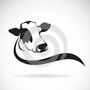 Vector of a cow head design on white background. Farm Animal