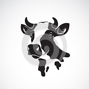 Vector of cow head design on white background, Farm animal.