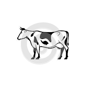 Vector cow silhouette view side for retro logos, emblems, badges, labels template vintage design element. Isolated on white