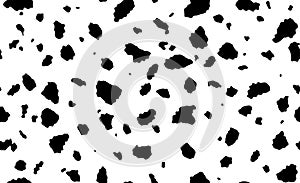 Vector  cow skin. Dalmatians dog spots. animal skin seamless pattern. Black and white. Animal print texture.