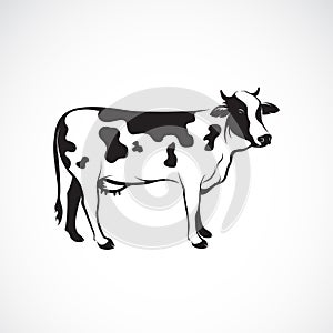 Vector of cow on white background, Farm animal, Vector illustration. Cow logo or icon. Easy editable layered vector illustration