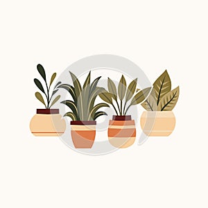 Vector cozy illustration of home plants in clay pots in flat style. Composition of flowerpots in gentle beige colors