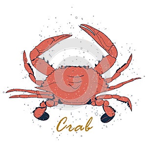 Vector crab silhouette. Isolated coral crab with air traps on white background. Icon crab for your design label, logo, print