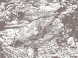 Vector Cracked Tree Crust Texture Overlay