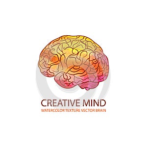 Vector Creative Mind Illustration, Watercolor Gradient Colorful Brain, Logo Template.