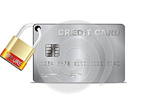 Vector credit card security