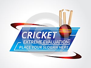 Vector Cricket Background Illustration