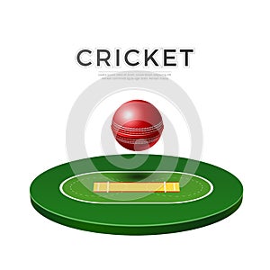 Vector cricket playground 3d icon for betting