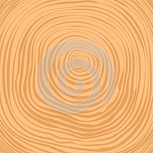 Vector crosscut tree rings background