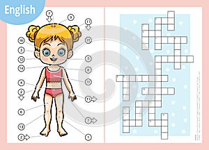 Vector crossword in English, education game for children about the human body. My body parts for a girl