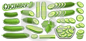 Vector Cucumber Set