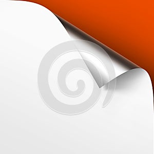 Vector Curled Metalic Silver corner of White paper with shadow Mock up Close up on Orange Background
