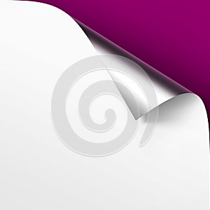 Vector Curled Metalic Silver corner of White paper with shadow Mock up Close up on Violet Lilac Background