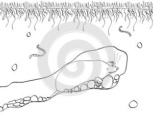 Vector cut section of land with blue sky, grass, underground soil with dirt, mud, stone and gophers in hole. Coloring