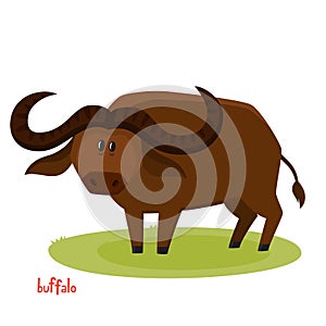 Vector cute buffalo bull in cartoon style isolated on white background.