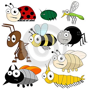 Vector cute bugs and insects isolated