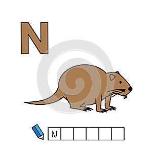 Vector Cute Cartoon Animals Alphabet. Nutria Illustration