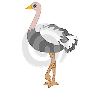 Vector Cute Cartoon Emu