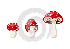 vector cute cartoon fly agaric mushrooms