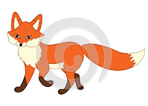 Vector Cute Cartoon Fox