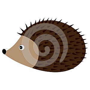 Vector Cute Cartoon Hedgehog. Hedgehog Vector Illustration.