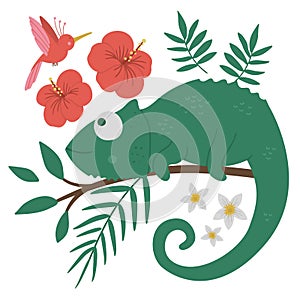 Vector cute chameleon on a tree brunch with leaves and flowers and paradise bird. Funny tropical exotic animal illustration.