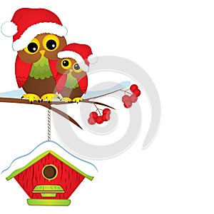 Vector Cute Christmas Owls in Red Hats Sitting on Tree Branch